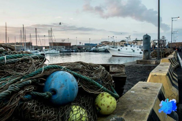 01_Alessio Pucci.jpg