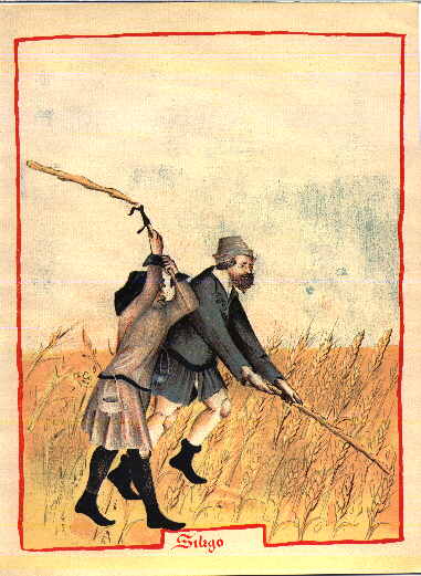 6 FED Immagine 6 (1)