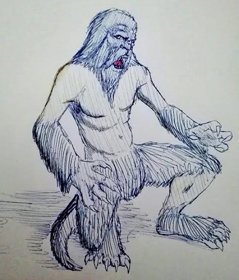 Il Rimedio Cap 16 Img 1