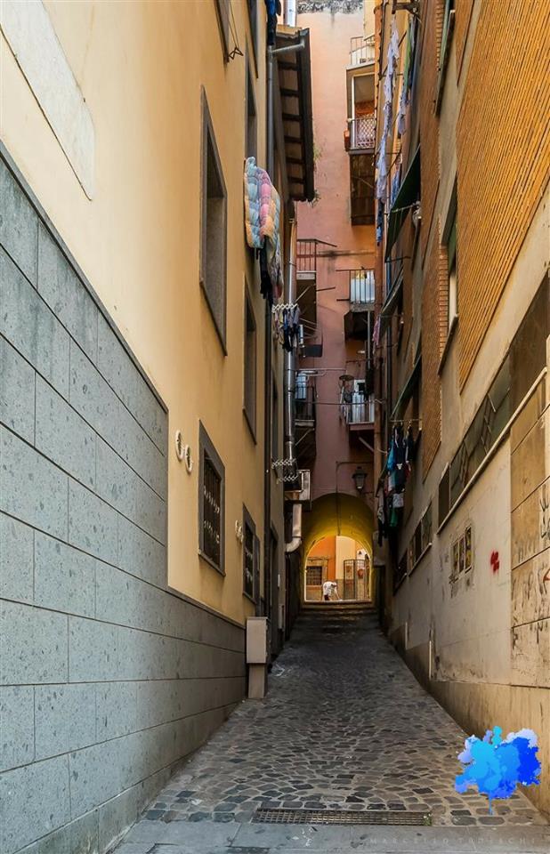 18813416_702023893317735_170643657626434113_n