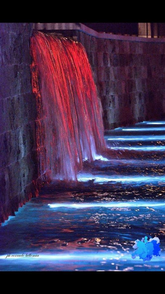 18893416_702023859984405_9069316632875361565_n