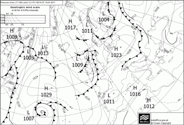 damiani 3 Fiorert agosto