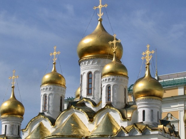 Foto 1 Mosca Terza Roma