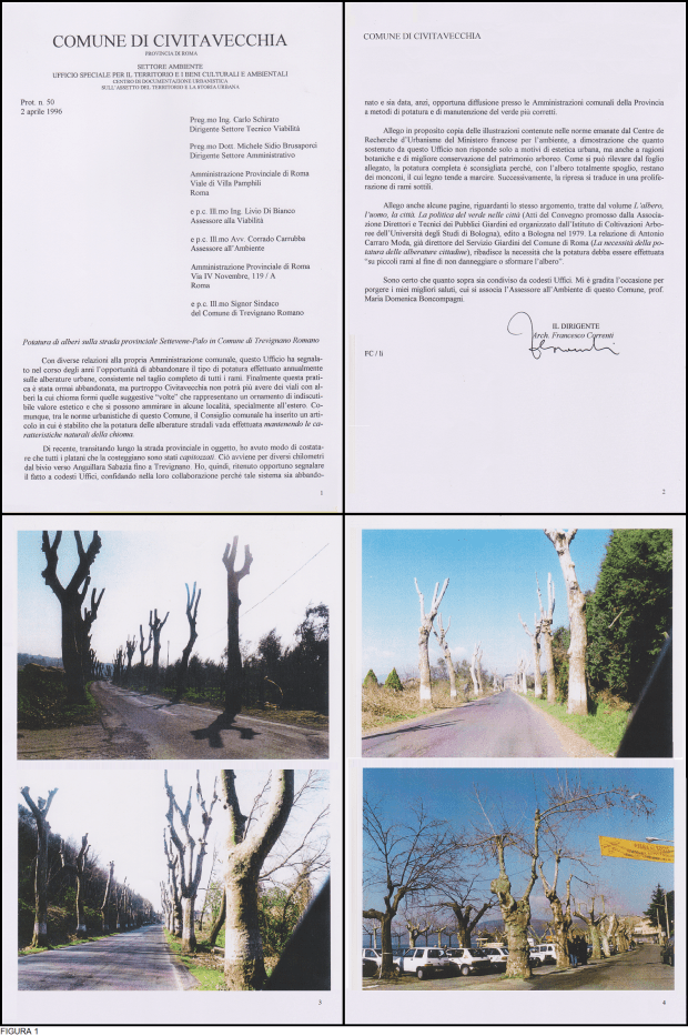 Beni comuni 52 figura 1