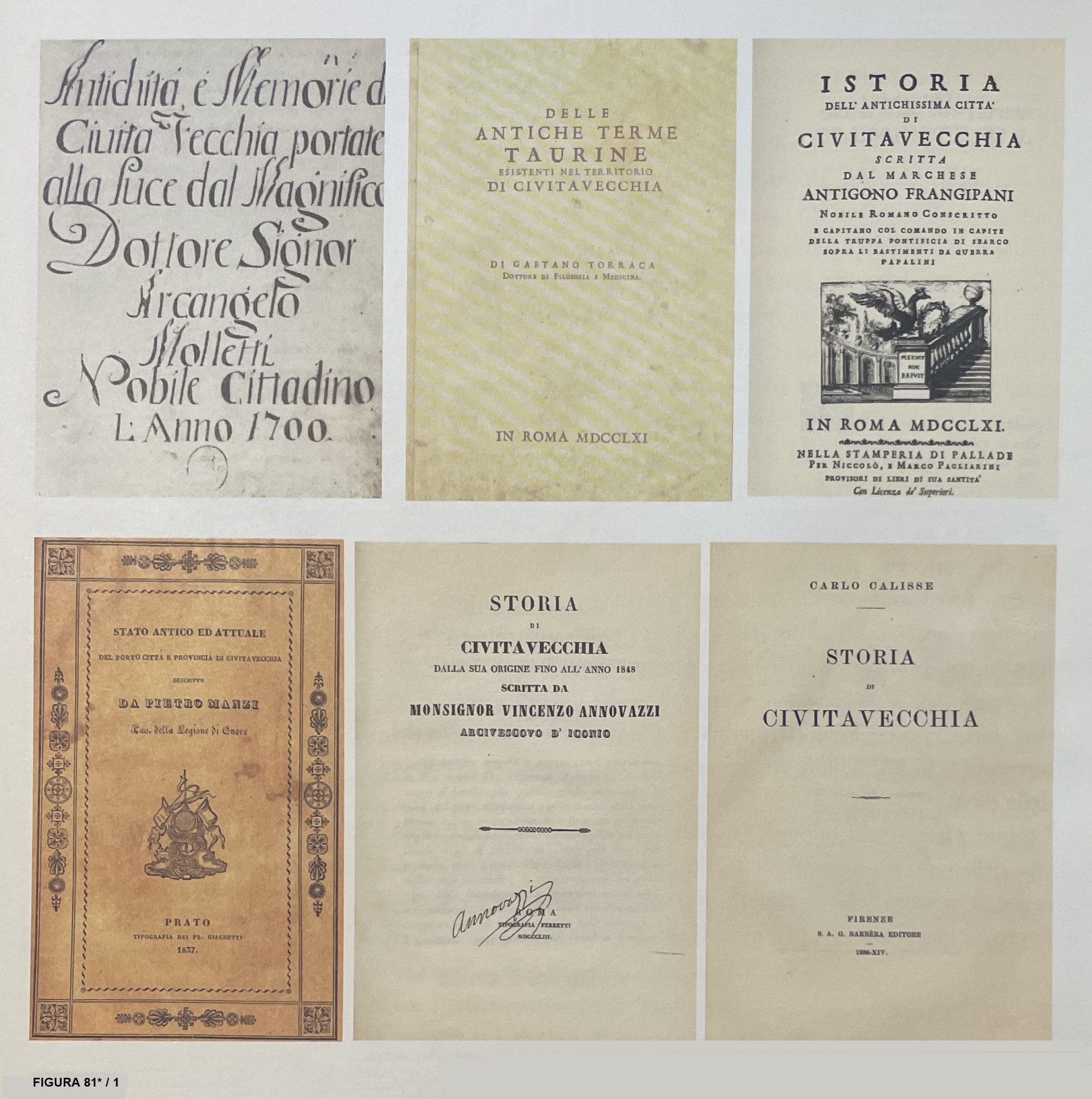 Beni comuni 81.1. Figura