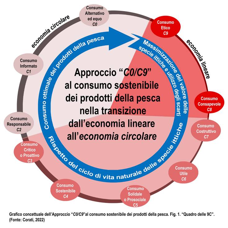 Grafico concettuale Approccio C0 C9